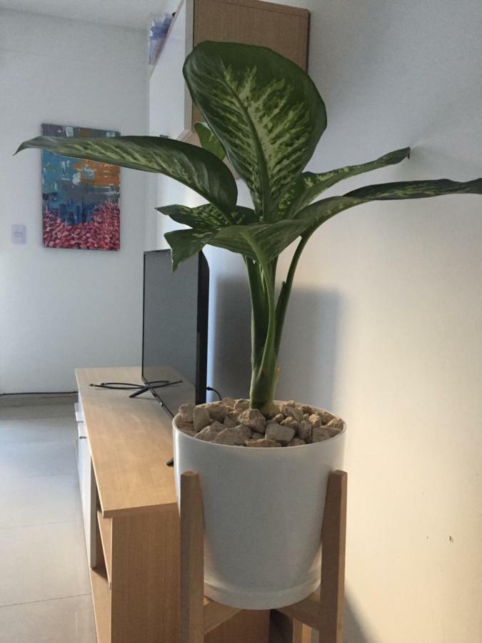 Trendy Full Apartment In Recoleta Buenos Aires Ngoại thất bức ảnh